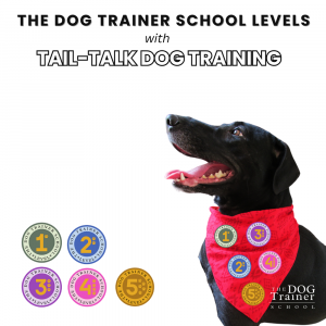 Image showing a black dog advertising The Dog Trainer School Levels with Tail Talk