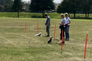 Clients training with their dogs