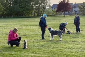 Clients and dogs training in Nairn