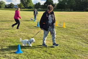 Clients and dogs spaced apart while training
