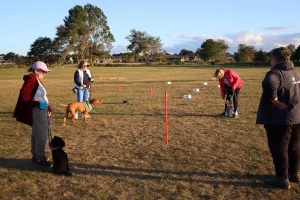 Level 1 progression training with Lorna