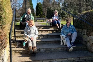 Four clients and their dogs posing on steps