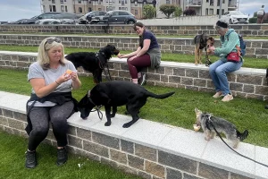 Clients with their dogs enjoying a Puppucino at James’s
