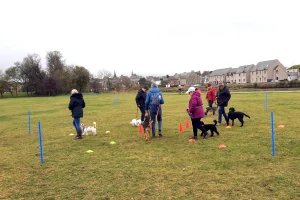 Members taking part in Lorna's Loose Lead Workshop