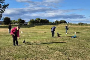 Clients and dogs training together