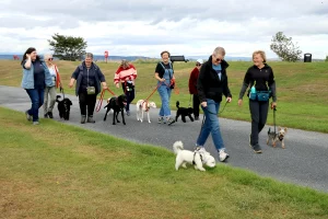The Tail Talk Teen Walking group, made up of Susan, Lorna, and six clients at The Links in Nairn.