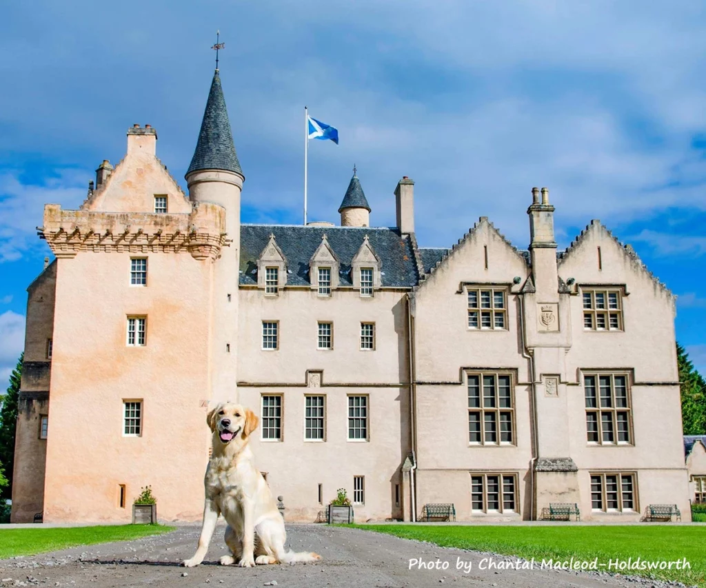 Susan's dog Amelie in front of Brodie Castle