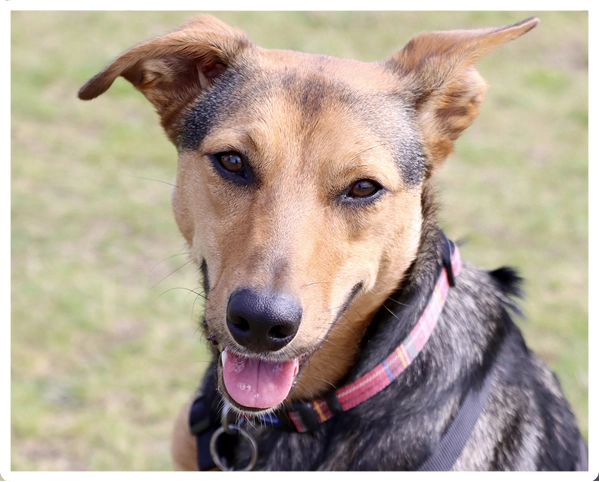 Progression class testimonial about Tess