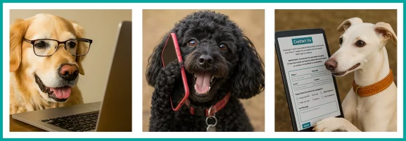 Banner of 3 dogs using a laptop, mobile and tablet