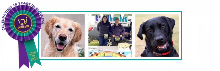 Banner of Susan, Lorna and their dogs