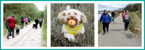 Banner of 3 photos showing clients and dogs